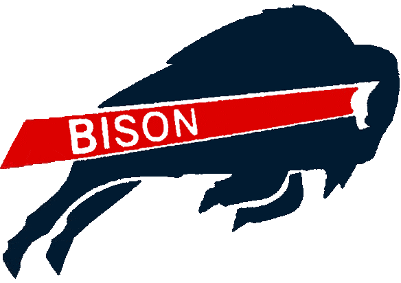 Howard Bison 2002-2014 Primary Logo diy iron on heat transfer